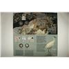 Image 2 : CANADA ON THE WING BIRDS OF CANADA 50 CENT SILVER