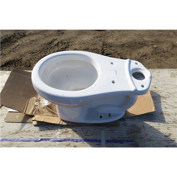 Toilet Bowl