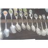 Image 2 : Collectable Spoon Display