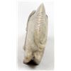 Image 4 : Zuni Picasso Marble Boar Fetish by Randy Lucio