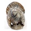 Image 3 : Zuni Picasso Marble Turkey by Derrick Kamaasee