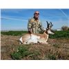 Image 1 : Adult and Youth Wyoming Antelope Hunt