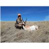 Image 2 : Adult and Youth Wyoming Antelope Hunt