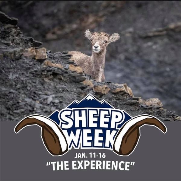 WSF “2022 Sheep Show” Couples Registration