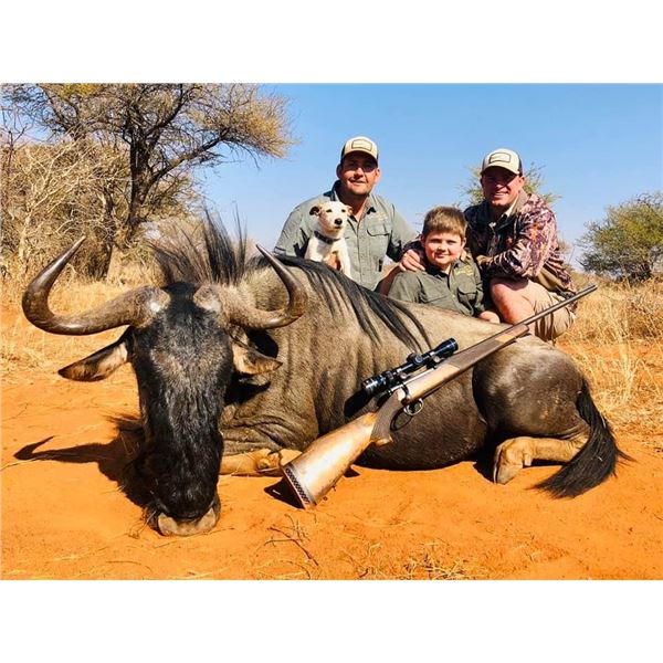 IMPALA, AND Trophy BLUE WILDEBEEST HUNT IN SOUTH AFRICA FOR TWO HUNTERS