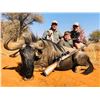 Image 1 : IMPALA, AND Trophy BLUE WILDEBEEST HUNT IN SOUTH AFRICA FOR TWO HUNTERS