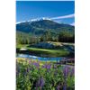 Image 2 : Canadian Rocky Mountain Vacation for 2 with Airfare