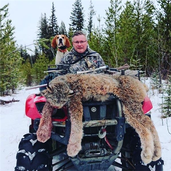 5 Day Lynx hunt in British Columbia