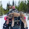 Image 1 : 5 Day Lynx hunt in British Columbia