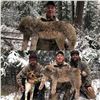 Image 2 : 5 Day Lynx hunt in British Columbia