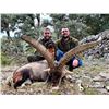 Image 2 : 3 DAY/4 NIGHT BECEITE IBEX HUNT FOR ONE HUNTER AND ONE NON-HUNTER in Spain