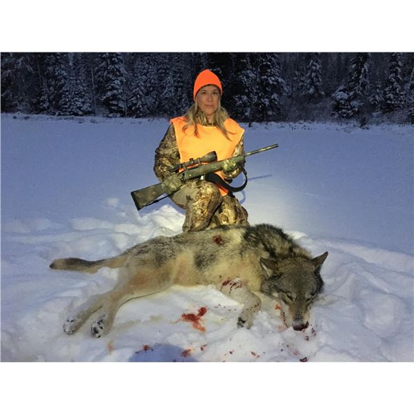7 Day Wolf Hunt and Ice Fishing for 2 hunters