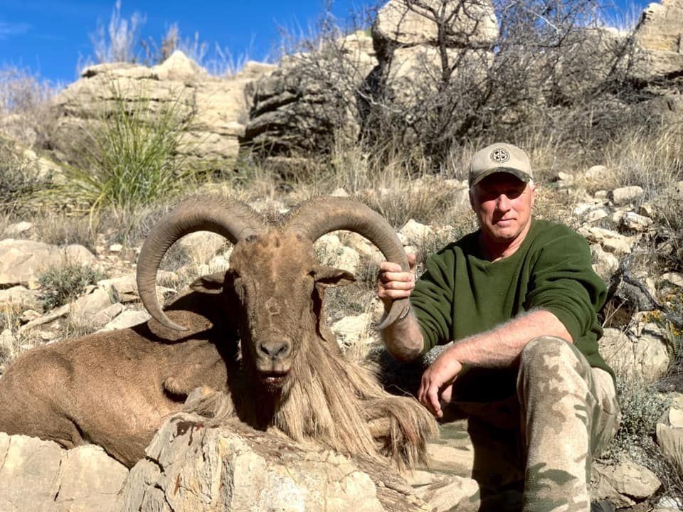 New Mexico Private Land Aoudad Hunt with Landowner Tag