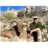 Image 2 : New Mexico Private Land Aoudad Hunt with Landowner Tag