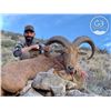 Image 3 : New Mexico Private Land Aoudad Hunt with Landowner Tag