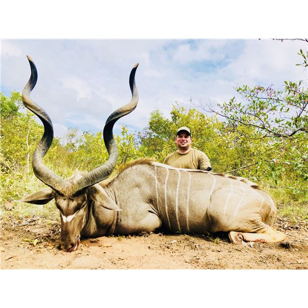Kudu, Warthog, and Impala Hunt in South Africa for Two Hunters