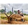 Image 2 : Kudu, Warthog, and Impala Hunt in South Africa for Two Hunters