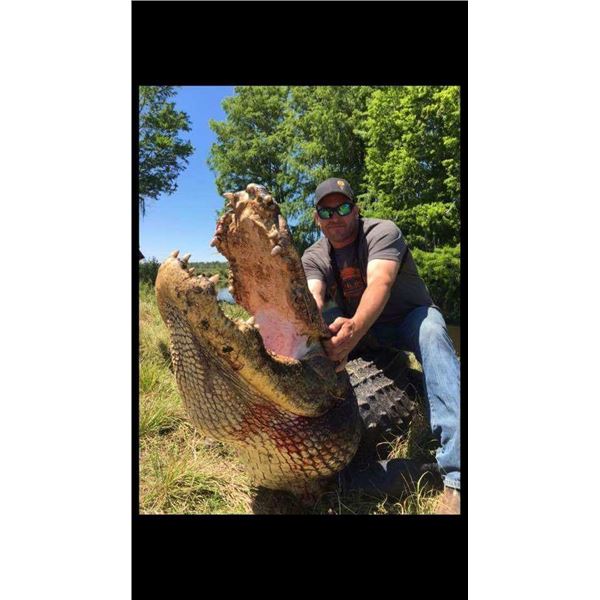 2-Day Florida Alligator Hunt for one Hunter and one non-hunter