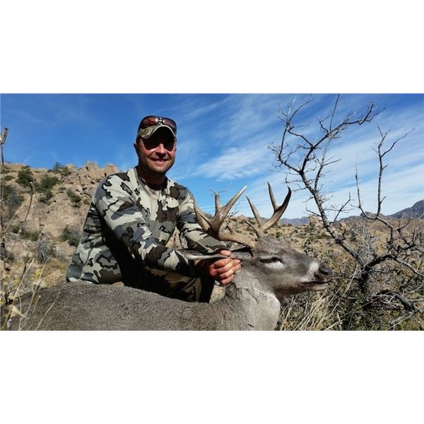 Arizona Coues Deer and Mountain Lion Hunt for 2 Hunters