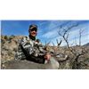 Image 1 : Arizona Coues Deer and Mountain Lion Hunt for 2 Hunters