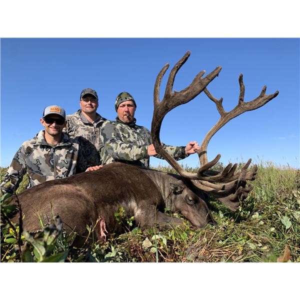 8-Day Caribou Hunt for 2 Hunters in Alaska