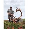 Image 3 : 8-Day Caribou Hunt for 2 Hunters in Alaska