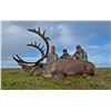 Image 4 : 8-Day Caribou Hunt for 2 Hunters in Alaska