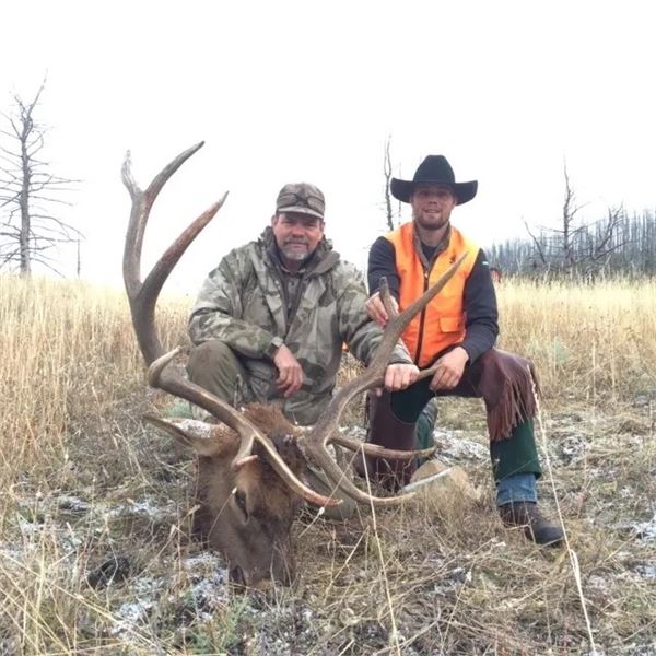 Montana Elk and Mule Deer Combo Hunt in Montana for 1 Hunter