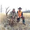 Image 1 : Montana Elk and Mule Deer Combo Hunt in Montana for 1 Hunter