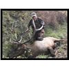 Image 3 : Montana Elk and Mule Deer Combo Hunt in Montana for 1 Hunter