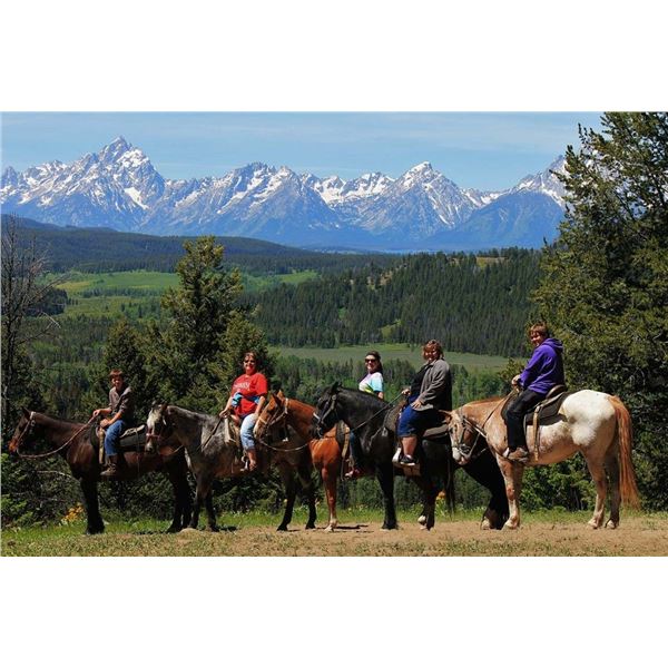 Teton Horseback Adventures