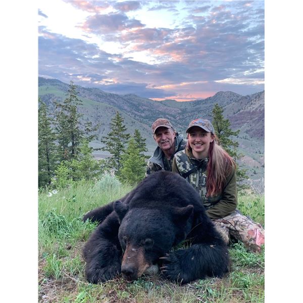 Black Bear Hunt in Frasier River area of Southern British Columbia