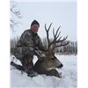 Image 2 : 6 Day Trophy Mule Deer hunt for one hunter in Central Alberta