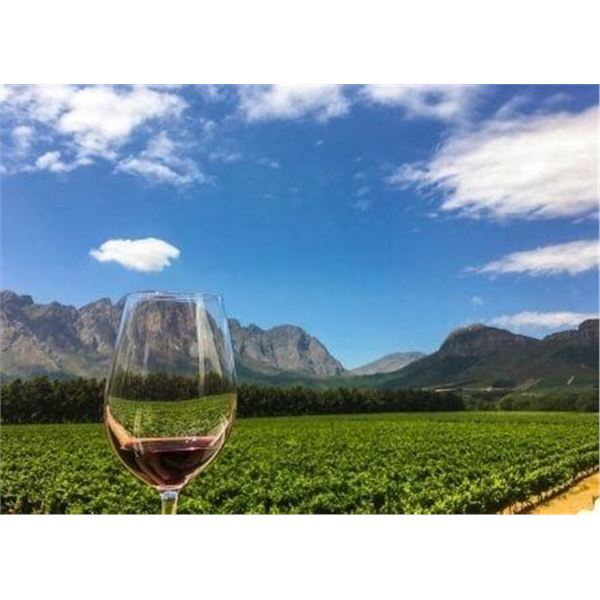 Private Wine Tasting for up to 50 people