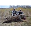 Image 1 : 8-day Alaskan Brown Bear hunt for 1 hunter