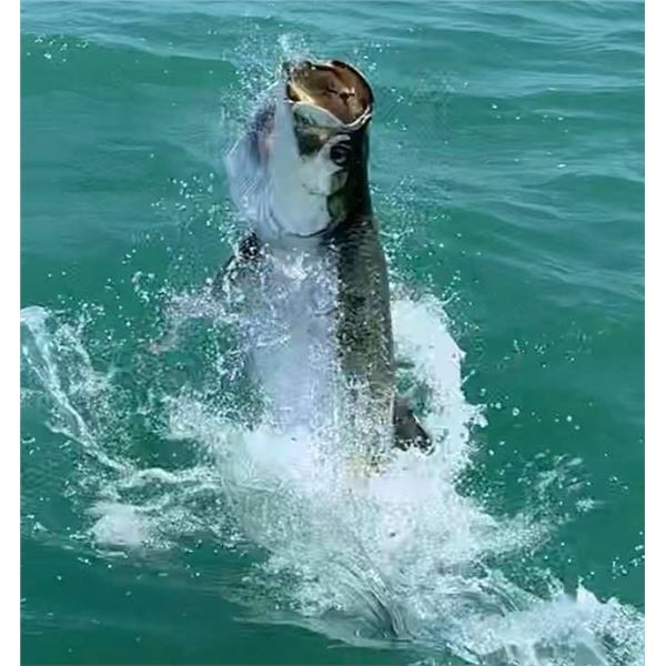 3 Days of Fishing for 2 Anglers near Marco Island/Naples Florida