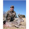 Image 1 : Southern Arizona Coues Deer hunt for 2 Hunters