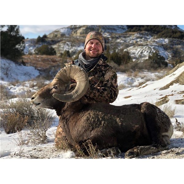 NORTH DAKOTA ROCKY MOUNTAIN BIGHORN SHEEP LICENSE