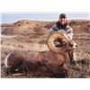 Image 3 : NORTH DAKOTA ROCKY MOUNTAIN BIGHORN SHEEP LICENSE