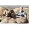 Image 4 : NORTH DAKOTA ROCKY MOUNTAIN BIGHORN SHEEP LICENSE