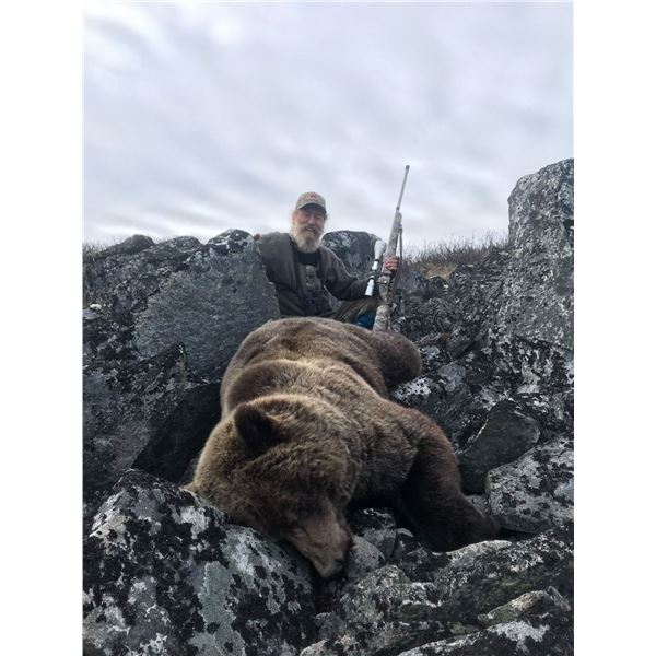 Yukon Interior Grizzly Hunt