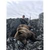 Image 1 : Yukon Interior Grizzly Hunt