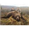 Image 2 : Yukon Interior Grizzly Hunt