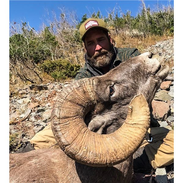 2021 WYOMING GOVERNOR’S ROCKY MOUNTAIN BIGHORN SHEEP LICENSE