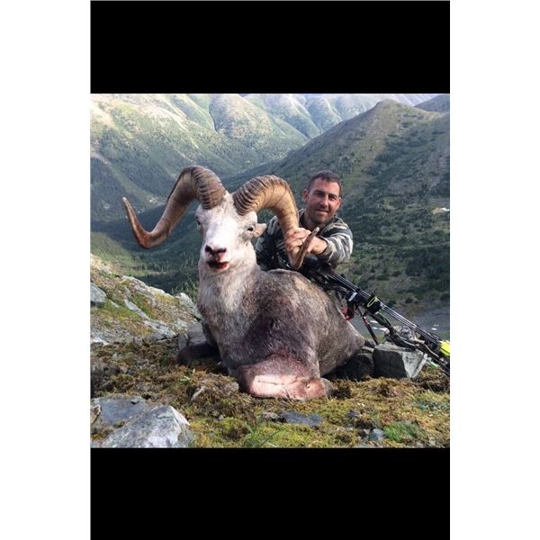 Yukon Stone Sheep Hunt