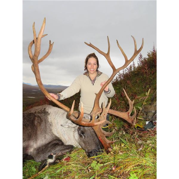 15-Day Alaska Combo Hunt for Dall Sheep, Brown/Grizzly Bear, Caribou, Black Bear and Wolf