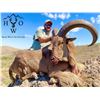 West Texas Trophy Aoudad Hunt for 1 Hunter