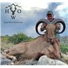 Image 3 : West Texas Trophy Aoudad Hunt for 1 Hunter