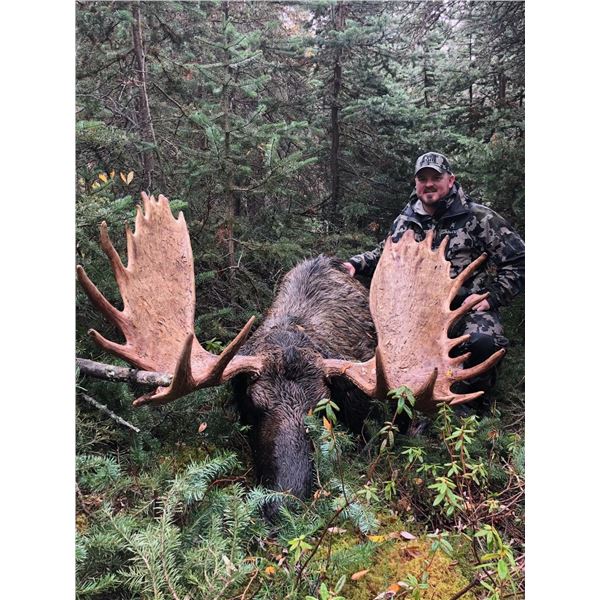 10-Day Trophy Rut Moose Hunt in British Columbia