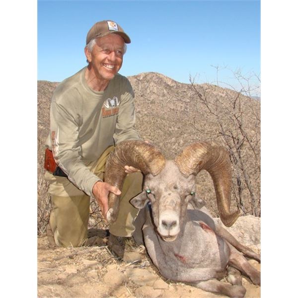 7-Day Desert Bighorn Sheep Hunt for 1 Hunter in Mexico